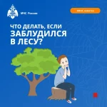 Что делать, если заблудился в лесу?