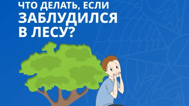 Что делать, если заблудился в лесу?